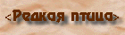 < >